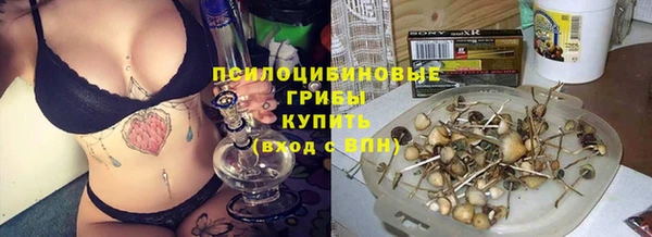 винт Армянск