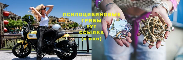 винт Армянск