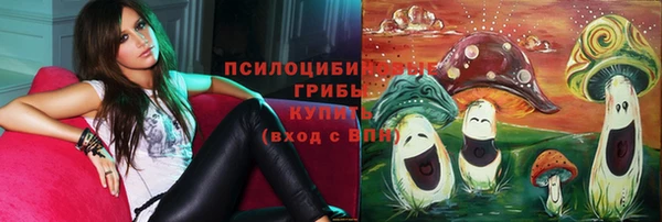 винт Армянск
